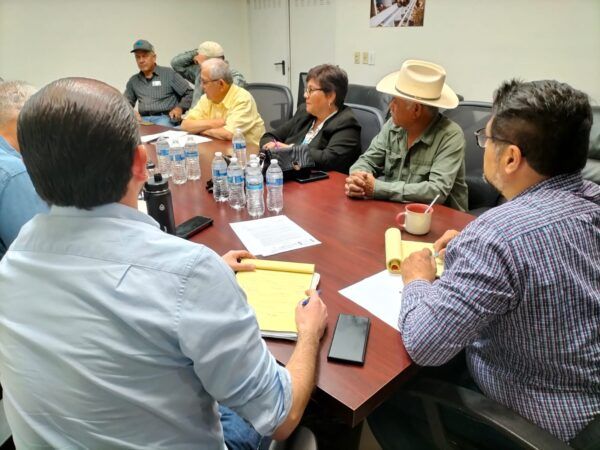CONTINÚA SADERBC TRABAJANDO EN LA ESTABILIDAD DE LA COSECHA DEL TRIGO