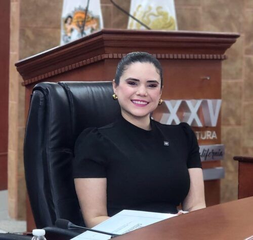 DIP. DAYLÍN GARCÍA PROPONE LEY DE VIDEOVIGILANCIA