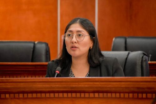 DIPUTADA MICHEL SÁNCHEZ PROPONE REFORMA A LA LEY DE SALUD PÚBLICA PARA PREVENIR Y ATENDER GOLPE DE CALOR