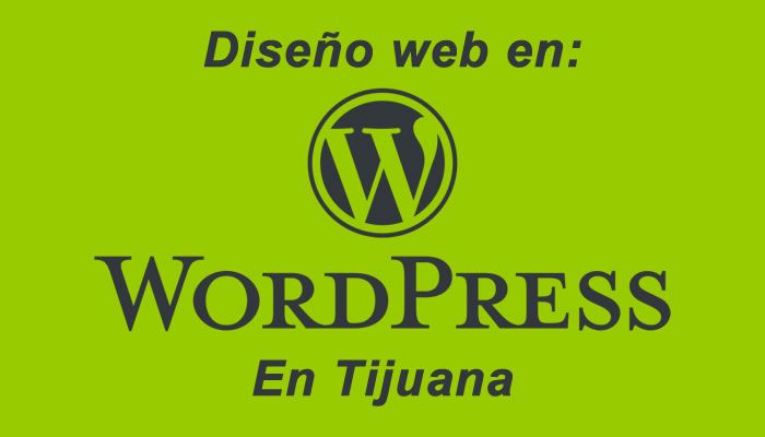 Diseño web de WordPress en Tijuana: lo que puede esperar de los profesionales