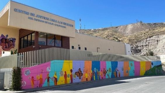 ENTRA EN VIGOR LA LEY ESTATAL DE ACCESO DE LAS MUJERES A UNA VIDA LIBRE DE VIOLENCIA