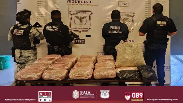 LOCALIZA FUERZA ESTATAL CARGAMENTO DE MARIHUANA TRAS DENUNCIA CIUDADANA EN TIJUANA