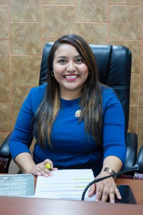 PROPONE DIPUTADA EVELYN SÁNCHEZ ESTABLECER CATÁLOGO DE MEDIDAS DE PROTECCIÓN DE MENORES