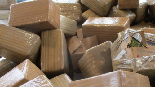 INCAUTAN MÁS DE 5 MILLONES DE DOLARES EN MARIHUANA EN LA GARITA DE OTAY