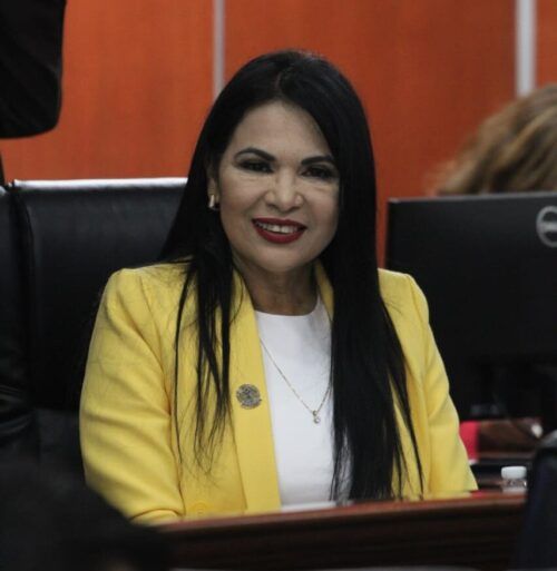 PIDE DIPUTADA ALEJANDRINA CORRAL REFORZAR LABORES DE LIMPIEZA Y MANTENIMIENTO DE ESPACIOS PÚBLICOS