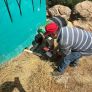 REACTIVA GOBIERNO DE TECATE LÍNEA MORADA EN PARQUE LOS ENCINOS