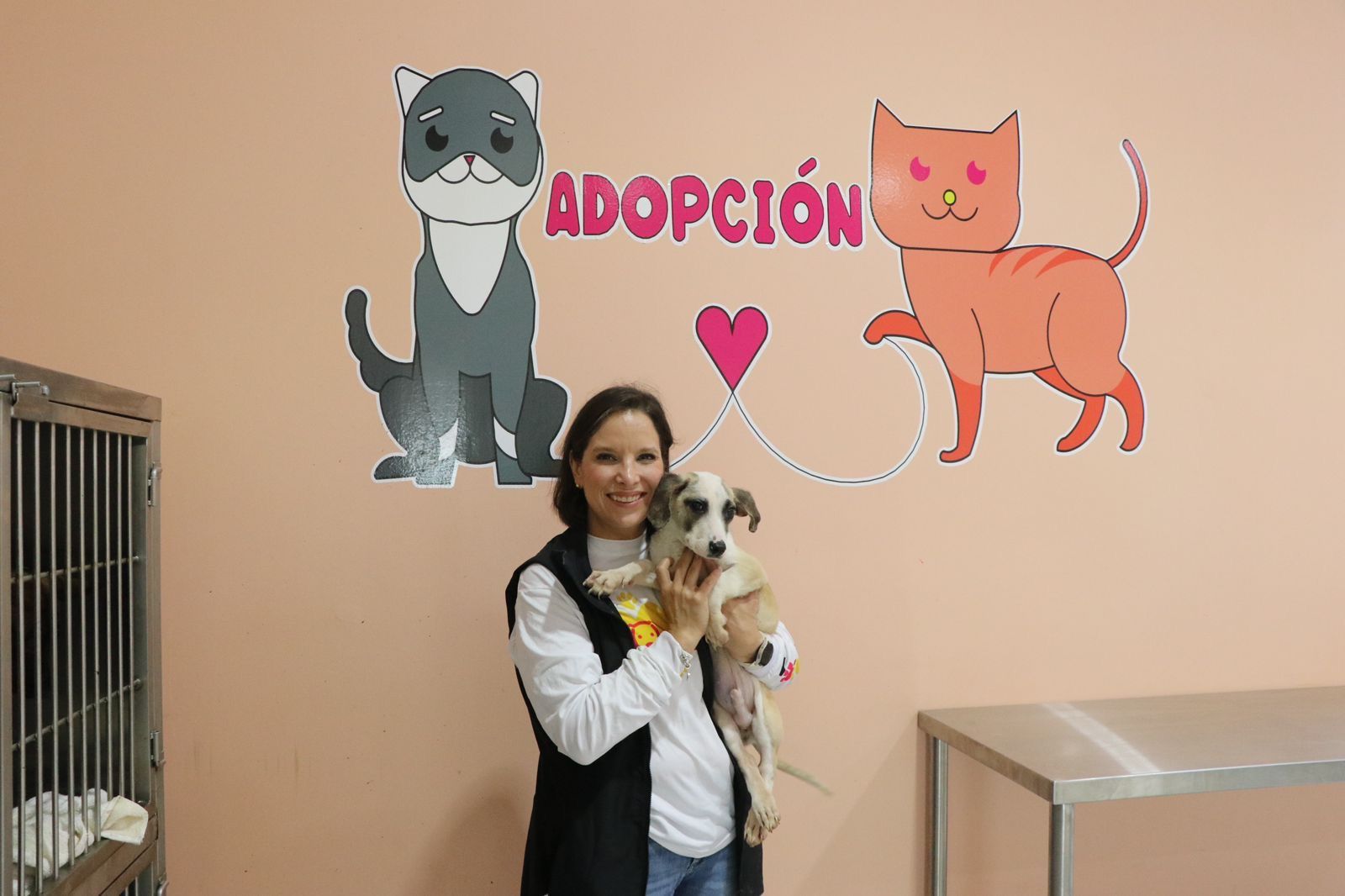 SON ADOPTABLES 60 ANIMALES REHABILITADOS EN SANTUARIO ANIMAL MILY