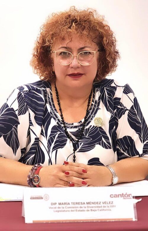 ACLARA DIPUTADA MAYTHÉ MÉNDEZ SITUACIÓN PATRIMONIAL VINCULADA A SU PADRE