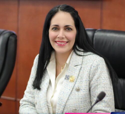 DIP. MAYOLA GAONA PROPONE TIPIFICAR DE MANERA CONCRETA LAS LESIONES Y HOMICIDIO CAUSADOS POR ANIMAL