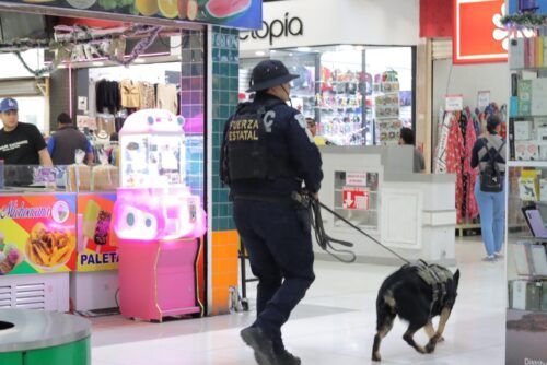 MÁS DE 800 AGENTES DE LA FESC MANTENDRÁN VIGILANCIA DURANTE NOCHE BUENA Y NAVIDAD EN BAJA CALIFORNIA