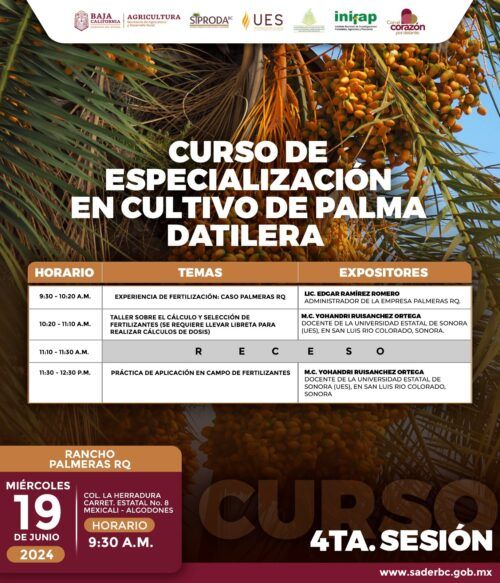 REALIZARÁN LA 4TA SESIÓN DEL CURSO ESPECIALIZADO EN EL MANEJO DE PALMA DATILERA EN EL VALLE DE MEXICALI