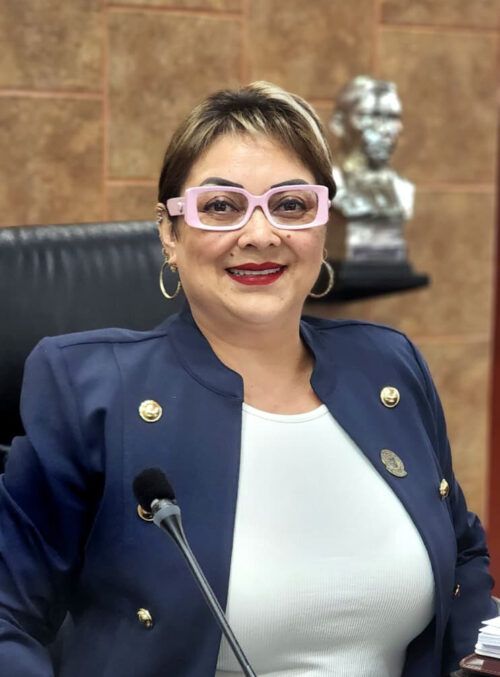 DIP. TERE RUIZ PROPONE GARANTIZAR REPRESENTACIÓN PROPORCIONAL A CANDIDATOS A ALCALDÍA