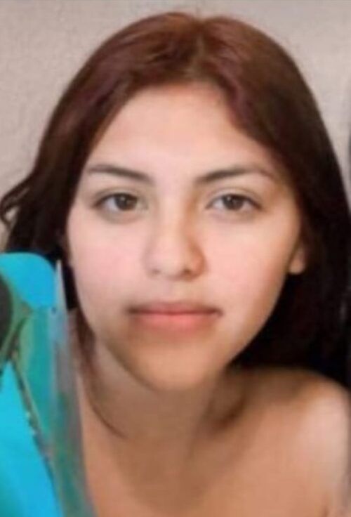 ACTIVAN PESQUISA PARA LOCALIZAR A MENOR DE 14 AÑOS