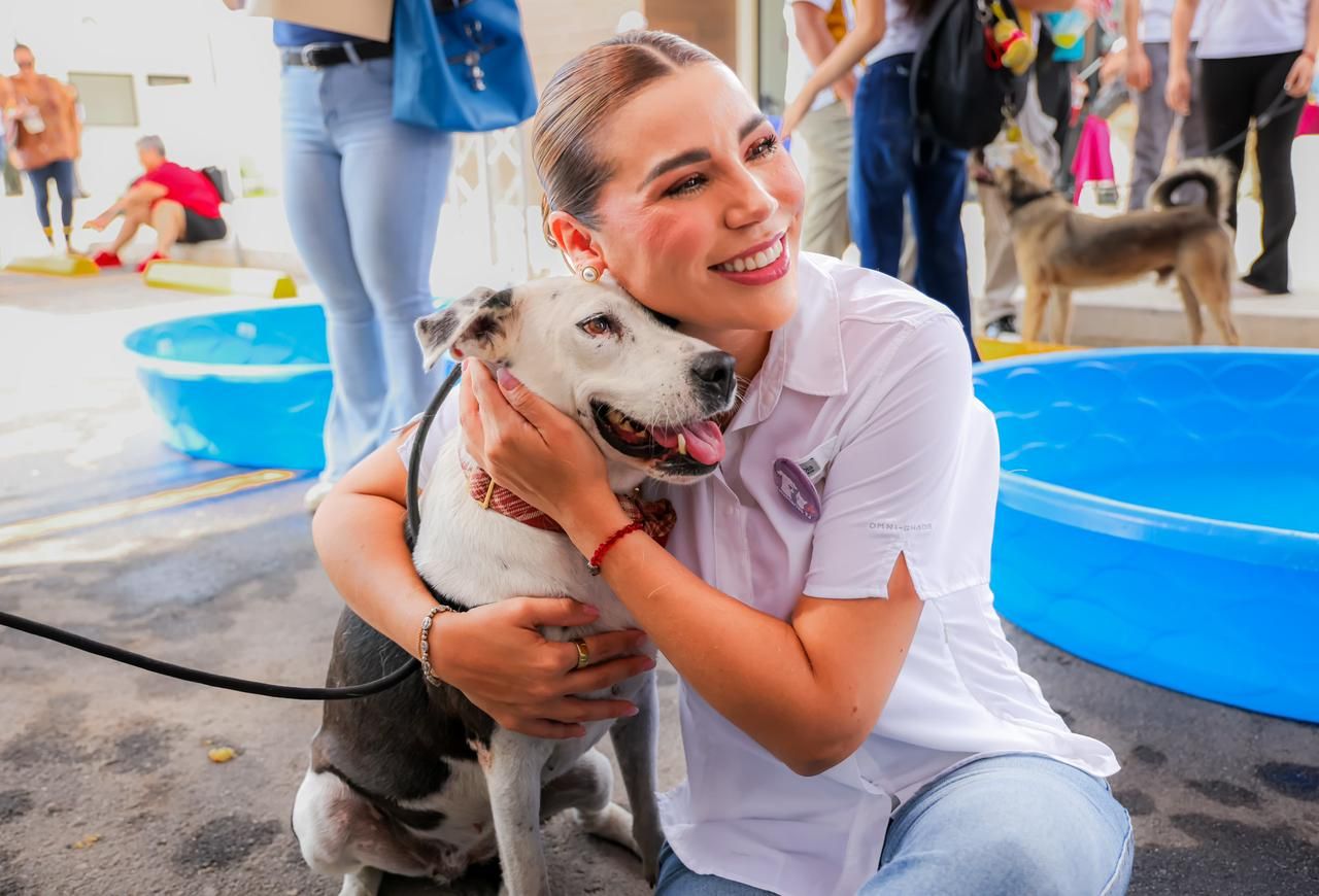ACERCA GOBIERNO DE MARINA DEL PILAR SERVICIOS GRATUITOS PARA PERROS Y GATOS EN BAJA CALIFORNIA