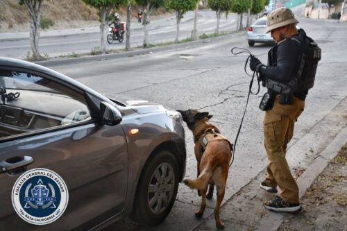 OBTIENE CERTIFICACIÓN DE NIVEL INTERNACIONAL UNIDAD CANINA K9 DE LA FISCALÍA GENERAL DEL ESTADO