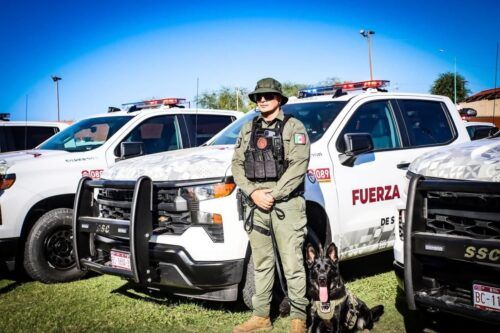 REGISTRA 2025 DETENCIONES CLAVE Y DECOMISO DE MÁS DE 470 ARMAS DE FUEGO: SSCBC