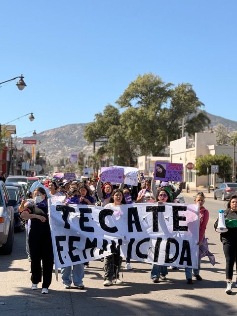 COLECTIVAS FEMINISTAS PRESENTAN PLIEGO PETITORIO DURENTE MARCHA 8M EN TECATE