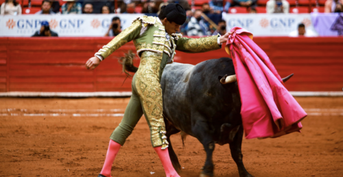 CULTURA EN TRANSICIÓN: EL RENACER DIGITAL DE LAS TRADICIONES MEXICANAS