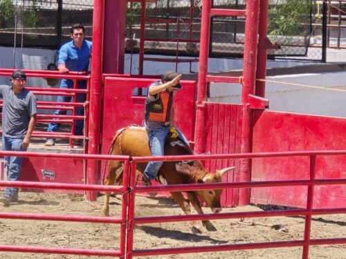 PRESENTA CALIENTE ESPECTÁCULO INÉDITO EN TIJUANA DENOMINADO DUELO DE TRADICIONES
