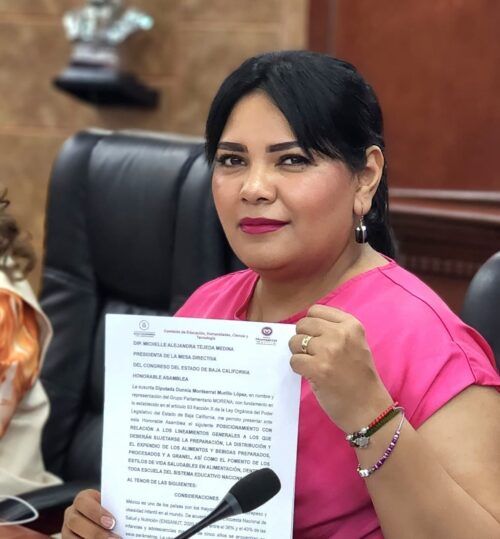 HONRAR A QUIENES SE ENTREGAN POR LA SEGURIDAD DE LOS DEMÁS NO PUEDE SER OPCIONAL, DEBE SER LEY: DIP. MONSTE MURILLO