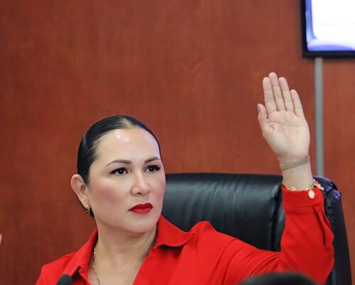 PROPONE DIPUTADA ARACELI GERALDO REFORMA PARA GARANTIZAR PENSIÓN ALIMENTICIA INTEGRAL EN BC