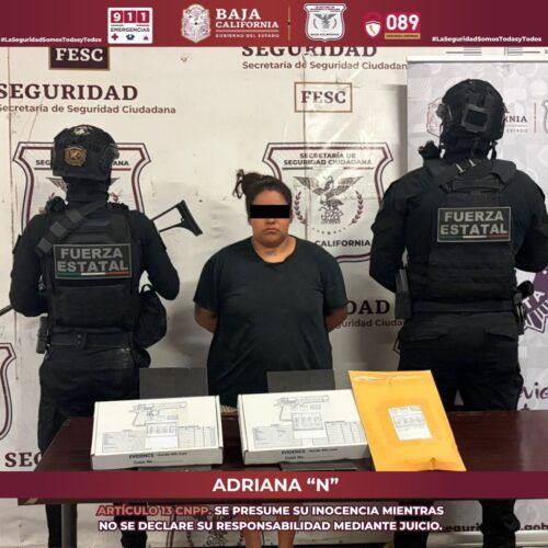 DETIENEN EN TECATE A MUJER ARMADA