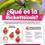 INVITA LA SECRETARÍA DE MEDIO AMBIENTE A PREVENIR LA RICKETTSIOSIS
