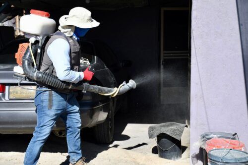 INVITA JURISDICCIÓN SALUD A CONOCER Y EVITAR FACTORES DE RIESGO DE CONTAGIOS POR RICKETTSIA