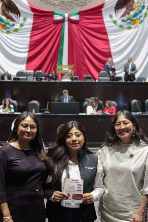 PARTICIPA DIPUTADA MICHEL SÁNCHEZ EN AGENDA LEGISLATIVA FEDERAL SOBRE JUSTICIA CON PERSPECTIVA DE GÉNERO