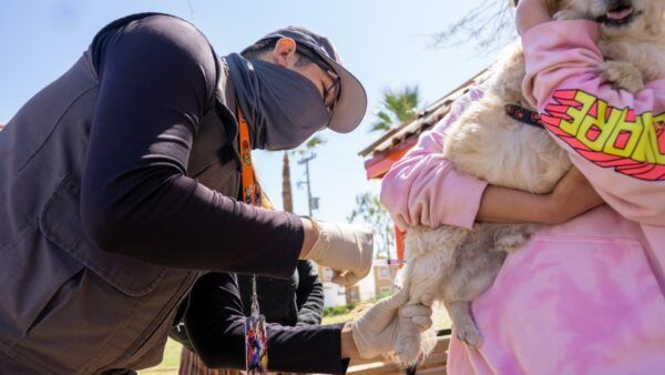 INVITAN A LA POBLACIÓN A MANTENER A SUS MASCOTAS VACUNADAS CONTRA LA RABIA