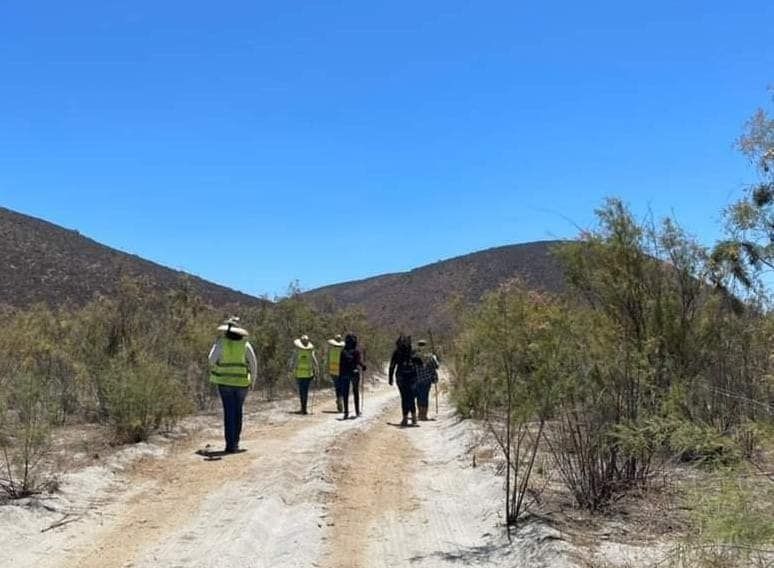 EMITE GOBIERNO DE BAJA CALIFORNIA CONVOCATORIA PARA TITULAR DE COMISIÓN LOCAL DE BÚSQUEDA