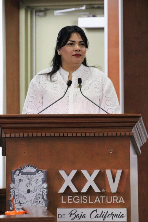 APRUEBAN ADICIONAR LA MODALIDAD DE VIOLENCIA PATRIMONIAL A LEY DE ATENCIÓN Y PREVENCIÓN DE LA VIOLENCIA FAMILIAR