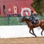 CELEBRARÁ CLUB HÍPICO CALIENTE EL XXX CLÁSICO INTERNACIONAL DE SALTO
