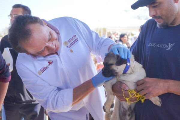 VACUNAN A MÁS DE 67 MIL MASCOTAS EN EL PRIMER TRIMESTRE DEL AÑO