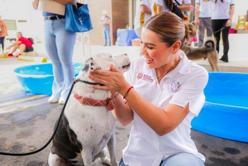 SE CONSOLIDA BC COMO REFERENTE NACIONAL EN PROTECCIÓN Y BIENESTAR ANIMAL