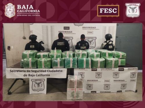 CONFISCAN FESC Y GN CERCA DE MEDIA TONELADA DE METANFETAMINA EN TIJUANA
