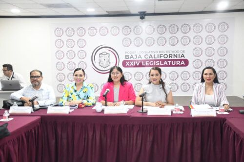 CONTINÚA EN SESIÓN PERMANENTE DE TRABAJO LA COMISIÓN DE FISCALIZACIÓN DEL GASTO PÚBLICO
