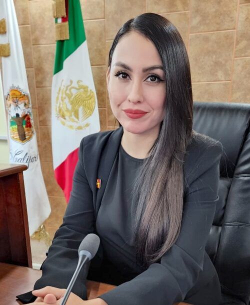 DIPUTADA YOHANA GILVAJA BUSCA GARANTIZAR EL ACCESO AL TRANSPORTE PÚBLICO EN ESPACIOS DE ALTA AFLUENCIA