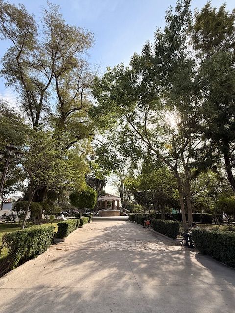 TECATE: PRONOSTICAN TEMPERATURAS CALIDAS Y NEBLINA PARA ESTE FIN DE SEMANA