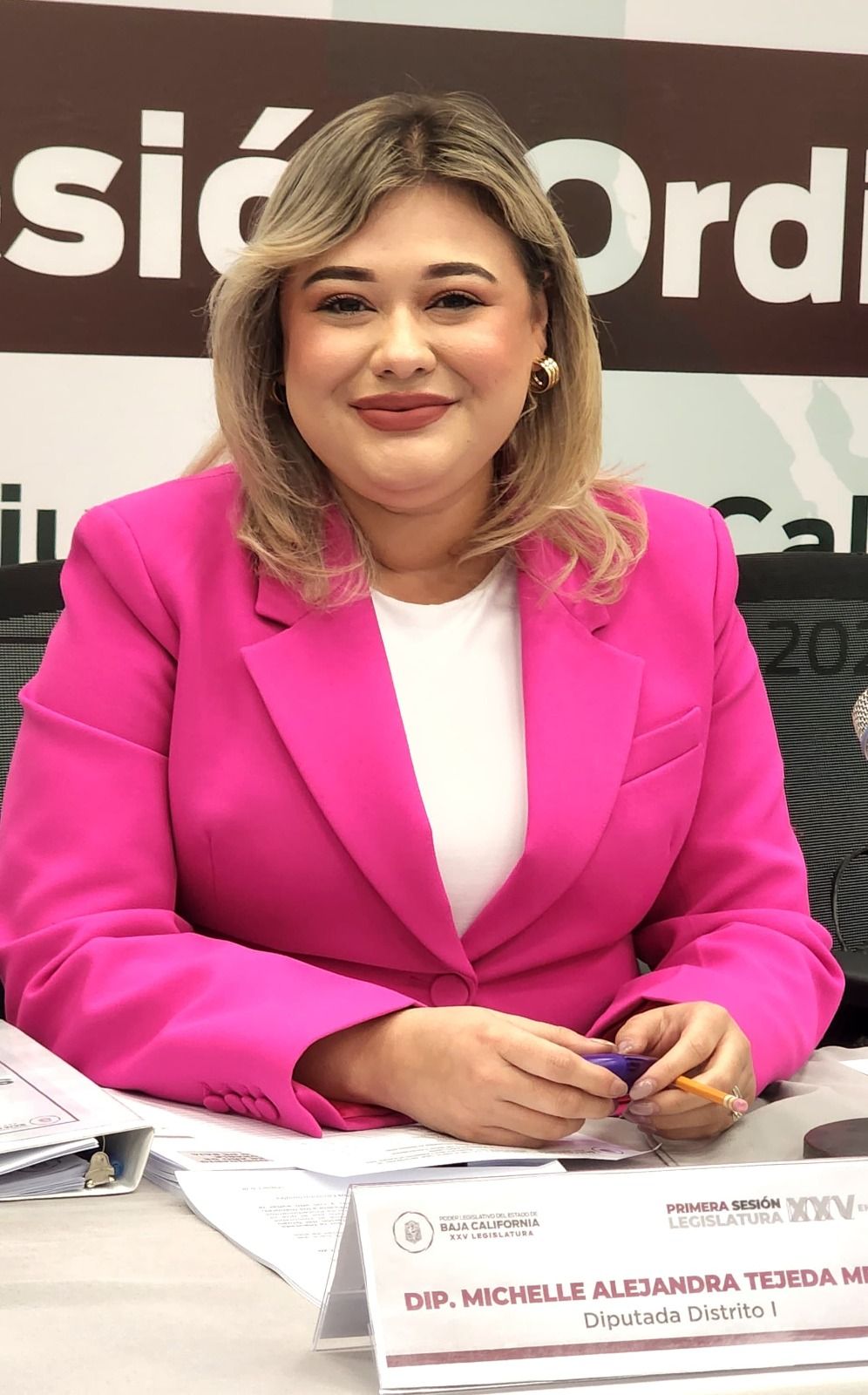 PROPONE DIP. MICHELLE TEJEDA CREACIÓN DE COMISIONES MUNICIPALES PARA ATENDER A GRUPOS VULNERABLES
