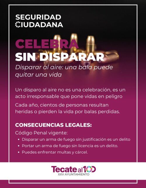 LLAMAN A LA CIUDADANÍA A NO REALIZAR DETONACIONES DE ARMAS DE FUEGO A MANERA DE FESTEJO EN NAVIDAD Y AÑO NUEVO