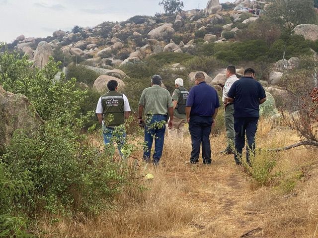 REFUERZAN ACCIONES POR AVISTAMIENTO DE FELINO EN TECATE
