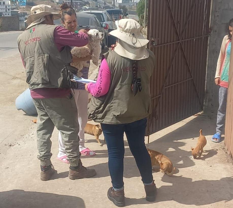 REALIZA JSST LABORES PREVENTIVAS CONTRA LA RICKETTSIA EN LA COLONIA EL DESCANSO EN TECATE