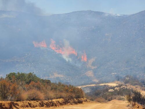 INCENDIO FORESTAL SE ENCUENTRA ACTIVO EN NUEVA COLONIA HINDÚ, TECATE