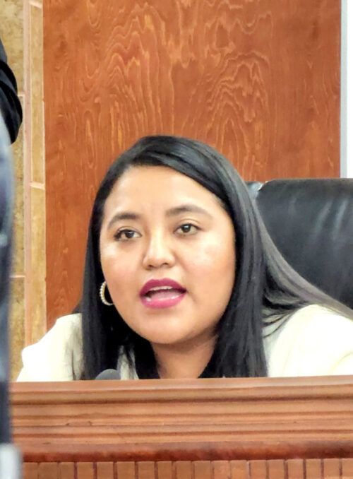 PROPONEN REGLAMENTAR COMPRA-VENTA DE CATALIZADORES EN EL ESTADO
