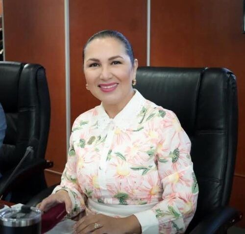 IMPULSAN REFORMA PARA GARANTIZAR VALIDEZ DE LICENCIAS Y TARJETAS DE CIRCULACIÓN DIGITALES EN BC