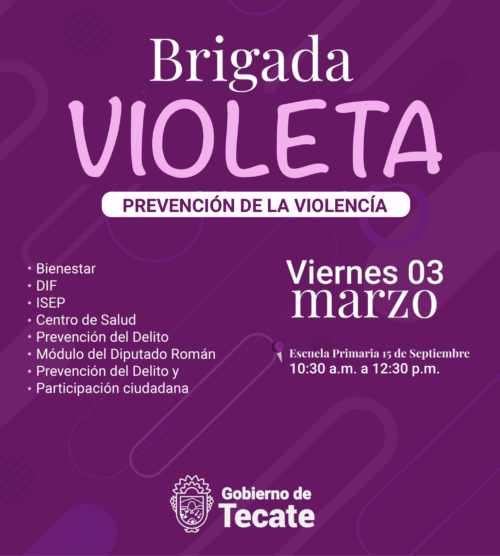 IMMUJER INVITA LA COMUNIDAD DE LA SIERRITA A BRIGADA VIOLETA