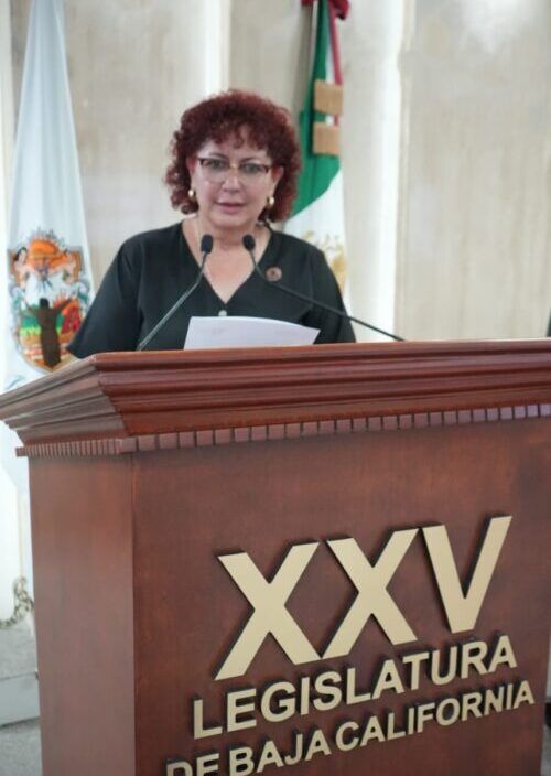 BUSCA DIP. MAYTHÉ MÉNDEZ CERTIFICACIÓN OBLIGATORIA PARA CENTROS DE JUSTICIA PARA LAS MUJERES