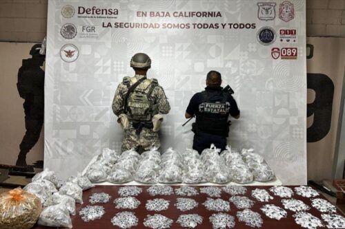 FESC Y DEFENSA ASEGURAN MÁS DE 8 KG DE DROGAS