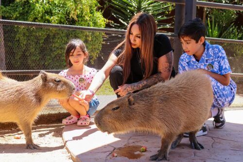 PAIPAI REFUERZA EDUCACIÓN, CONSERVACIÓN E INCLUSIÓN EN BAJA CALIFORNIA